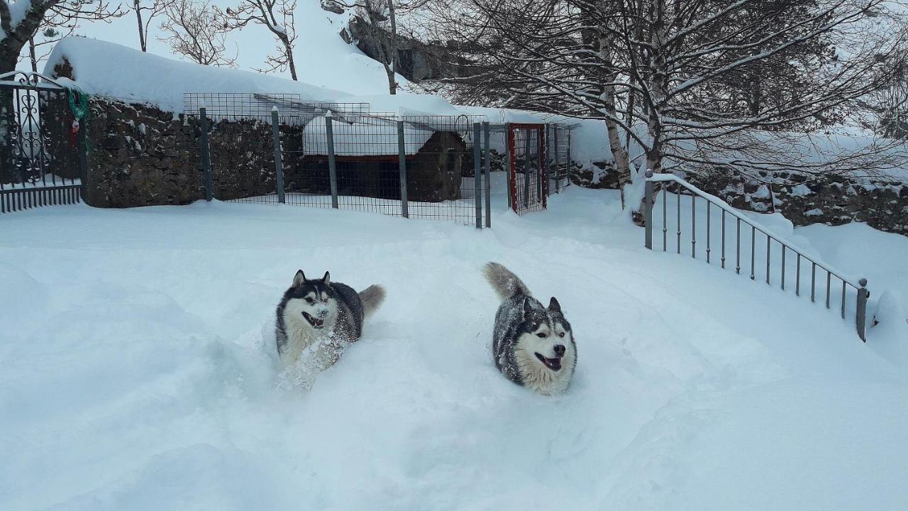 Posada El Rincon De Babia La Cueta 외부 사진